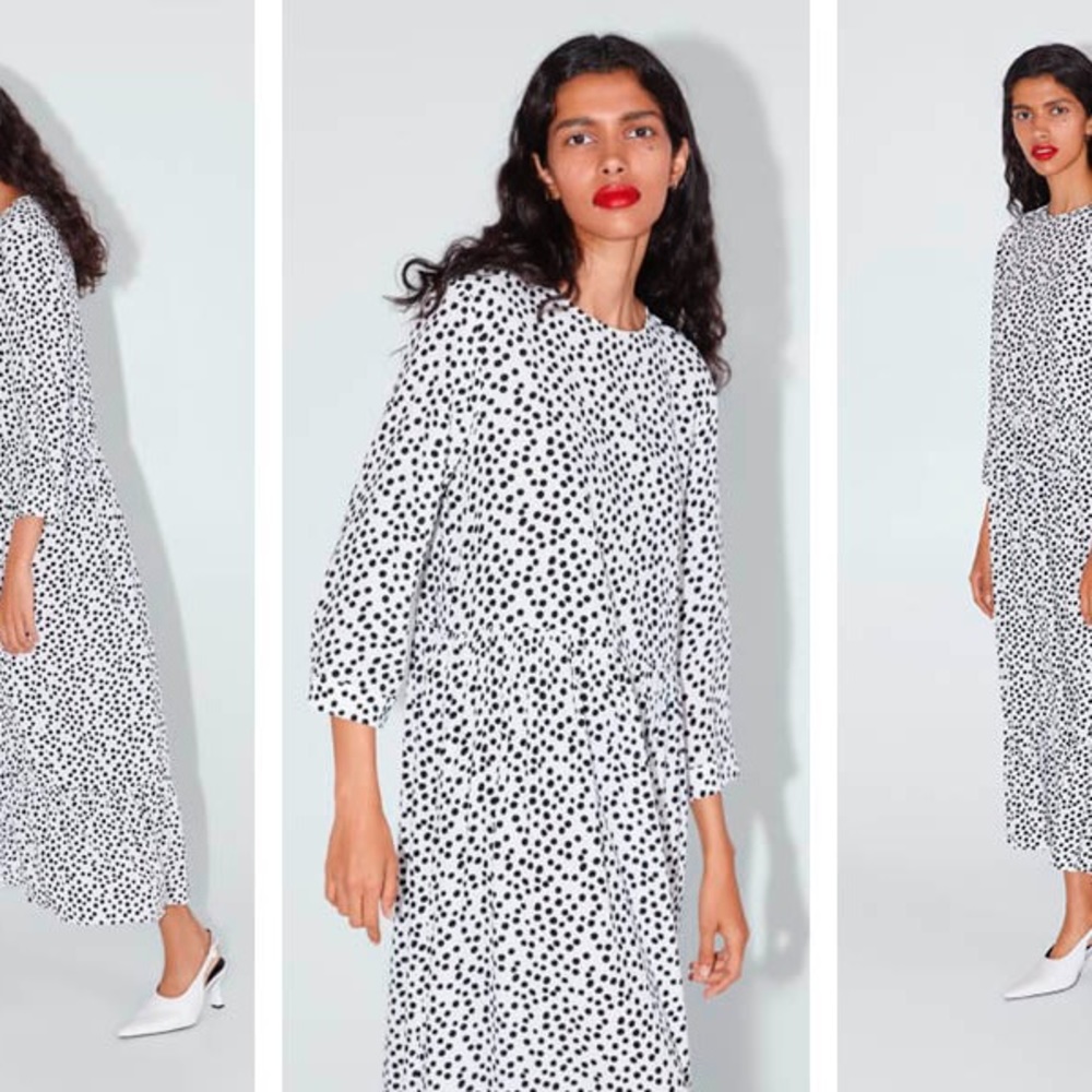 Zara The Polka Dress XS maxi
